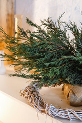 thuja branches in a pot wrap burlap in a circle from a dry vine