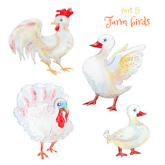 White Poultry Set:  goose, turkey,rooster, duck . Isolated on white. Watercolor cartoon illustration.
