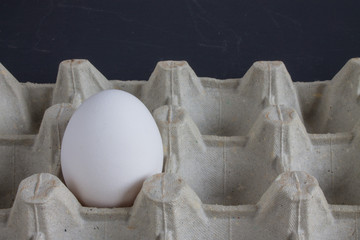 White egg in tray on dark background