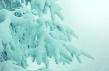 Fototapeten Winter forest © Galyna Andrushko