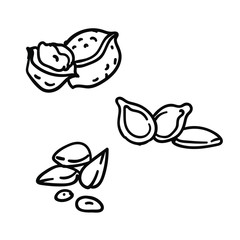 Seeds and nuts icon. Hand drawn simple doodle set. 