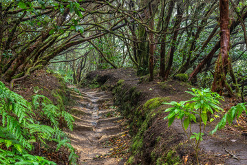 Footpath in Anaga Rural Park on Tenerife island, Spain