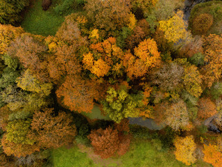 Autumn trees. Aerial top view. Fall season, Green, orange and yellow colors of the leafs.