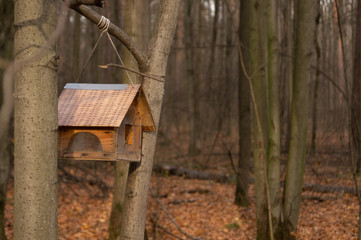 birdhouse in the forest of autumn forest in the afternoon