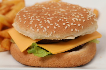 nice hamburger with cheese and bread close up
