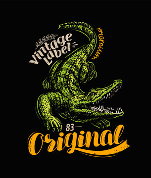 Crocodile T-shirt Design. Vintage Poster Vector Illustration