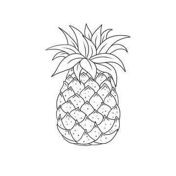 Outline pineapple tropical fruit. Coloring book page. Line art illustration. Object for design isolated on white background. 