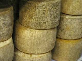 Fromage de brebis, chèvre, pays basque, basque, fermier, laitier, marché, artisanal, artisan,...