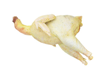 Fresh raw chicken isolated on white