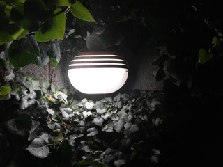 Luce