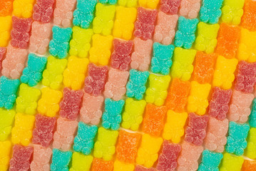 Jelly sweats bears rainbow pattern. Top view.