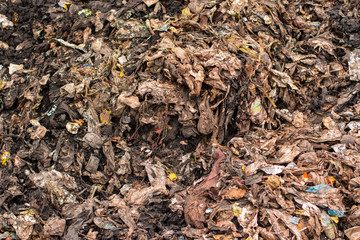 Old garbage Household It is a large quantity of waste. And it's tricky to handle and eliminate.	