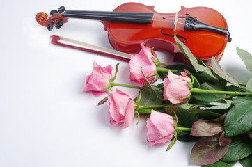 Fototapeta premium Violin with a bow and five pink roses on white. Free space for your text.
