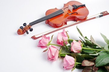 Fototapeta premium Violin with a bow and five pink roses on white. Free space for your text.