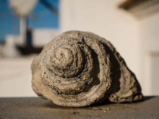 aus dem meer