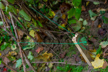 Volunteer-mounted props to support bushes and other plants in the park