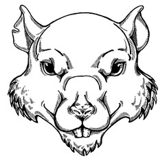 Wild rat vector portrait. Concept image of symbol chinese happy new year 2020. Lunar horoscope sign. Happy new year and mouse.