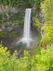 Obraz premium OLYMPUS DIGITAL CAMERA