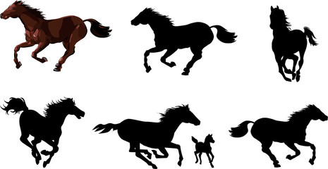 Horse animal silhouettes set. Vector graphics