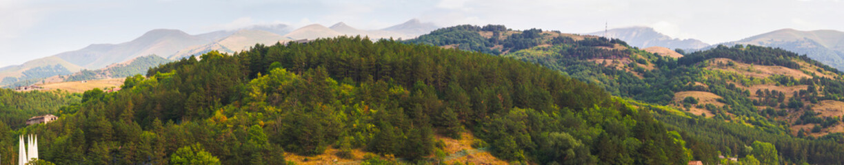Fototapeta na wymiar Nature and forest in Dilijan. Armenia.
