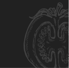 Set of hand drawn tomato. Organic eco food.