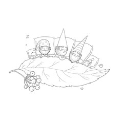 Three gnomes sleep under the leaf. Forest elves