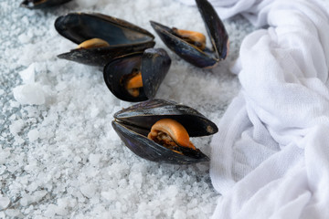 Cooked delicious black mussel, salty white background. Healthy eating concept, rich protein  food