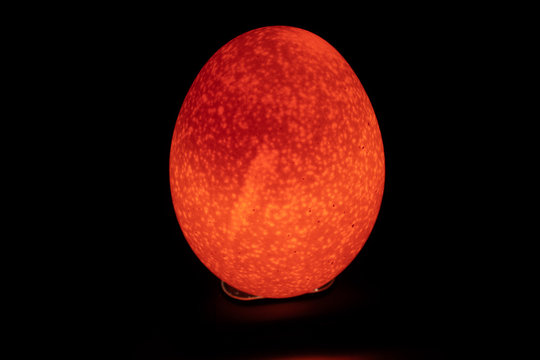 A reddish easter egg like picture of a raw egg through mobile flash light.