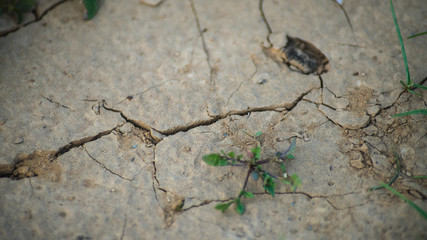 Grieta en la tierra seca 2