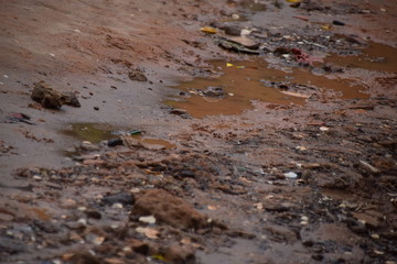 Ziegen und Hühner in einem elenden Wohngebiet in Afrika
