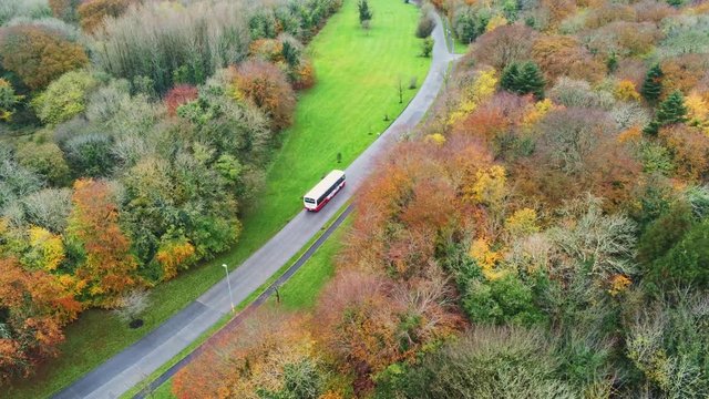 4k Aerial view of Merlin park with autumn trees and vegetation, Galway, Ireland