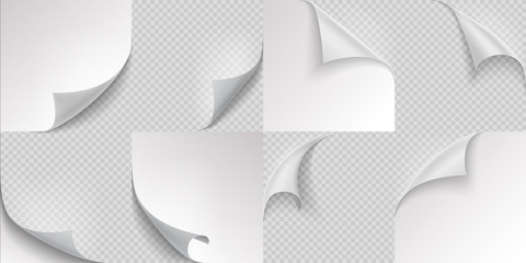 Curled page corners. Flipped and turning paper leaf set on transparent background. Vector folded or turn-up book white page like effect curling peel or labe