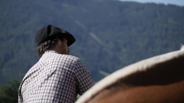 Man cleaning a haflinger horse in the italian alps.
