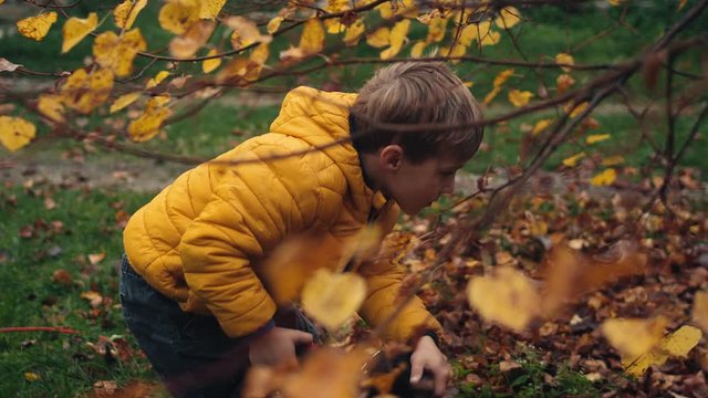 Young Boy In Yellow Coat Uses Electric Leaf Blower On Lawn