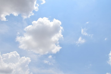 Obraz premium Blue sky background and white clouds soft focus. blue sky cloudsfor background.Natural background.