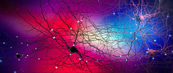 Signal transmitting neuron or nerve cell- 3d illustration - obrazy, fototapety, plakaty