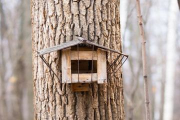 Wooden bird house on tree in autumn forest