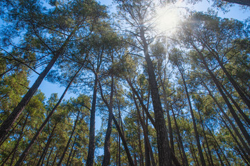 Yazili Canyon national park and forest, Isparta Turkey
