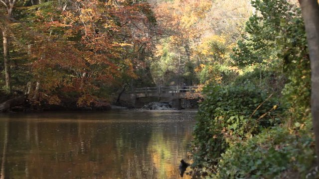 Bluff Bridge - Rock Creek Park - Washington, DC - Autumn