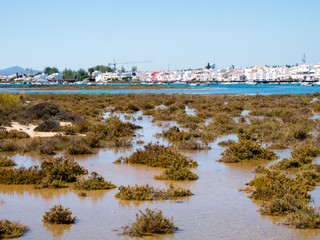 Fototapeta na wymiar Portugal - Algarve - Cabanas - Rio Formosa Gezeiten
