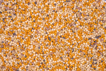 ALPISTE COMPUESTO CLOSE