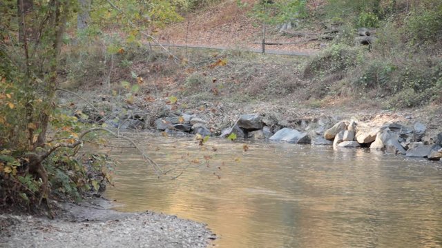 Creek and Bike Path  - Rock Creek Park - Washington, DC - Autumn