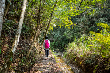 traveling woman walk in forest