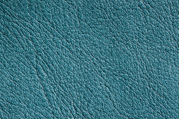 Genuine porous grainy leather texture closeup, dark green mint background