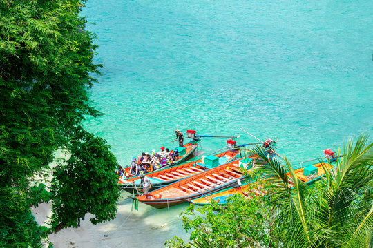 Some beautiful Kolae in the Thai seas
