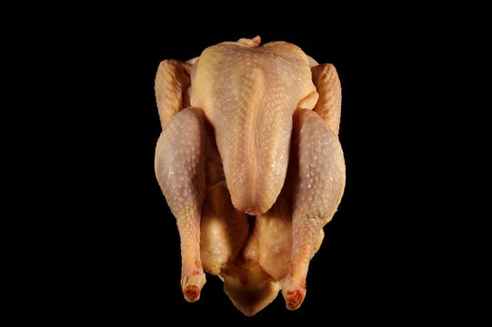 raw chicken isolated on black background. funny chicken picture.