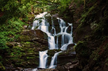 waterfall in the forest