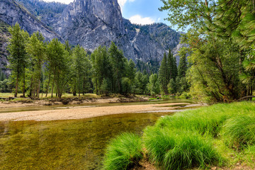 Lush green grass and trees on the right with the clear clean Merced River in the middle with...