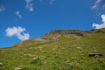 Hiking in swiss alps