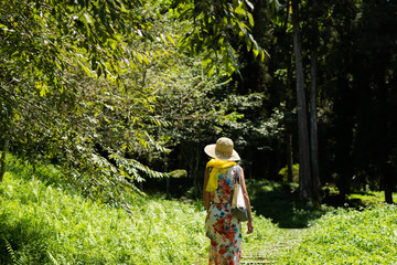 Obraz premium woman hiking in the forest at Xitou